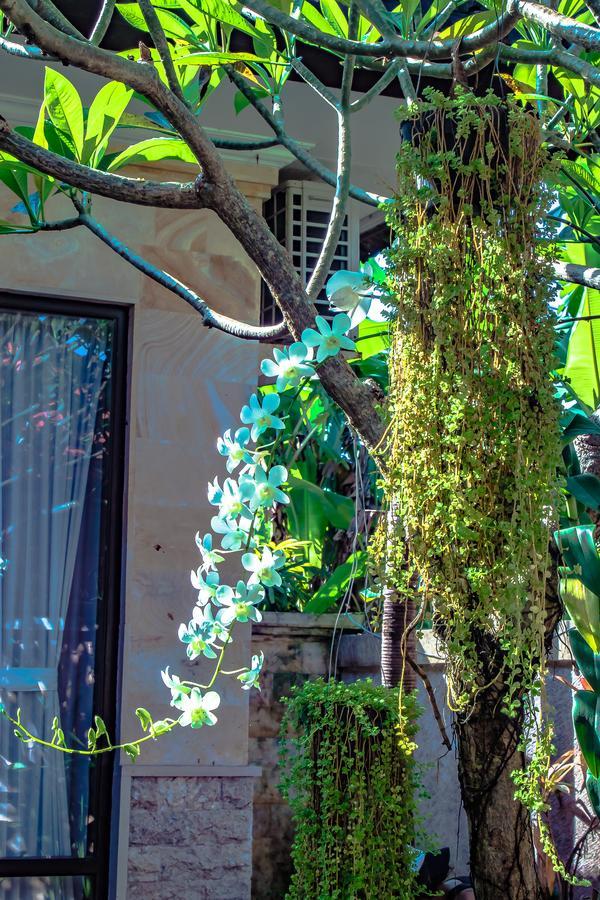 Villa Impian Canggu Eksteriør bilde
