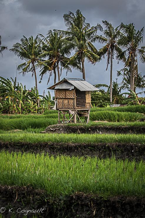Villa Impian Canggu Eksteriør bilde